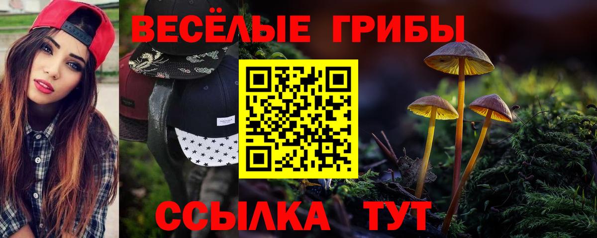 Ленинск-Кузнецкий  Псилоцибиновые грибы Cubensis  Вход с VPN 