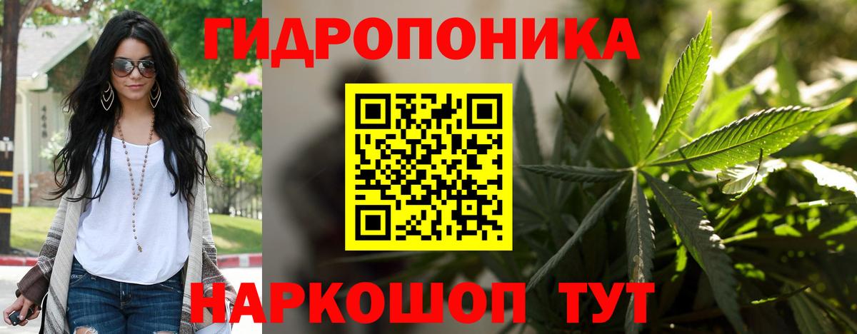 Бошки марихуана THC 21%  Вход с VPN  Ленинск-Кузнецкий  Марихуана сатива 